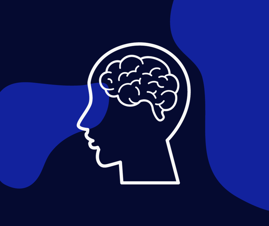 Environmental Influences on Brain and Behavior | Center for